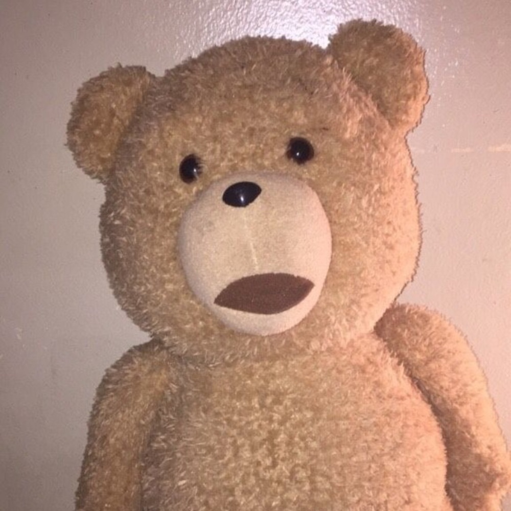 Ted Bear From The Movie Ted Starring Mark Walhberg
